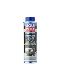 Hava Emme Sistemi Temizleyici - Benzin ( 300 ml )